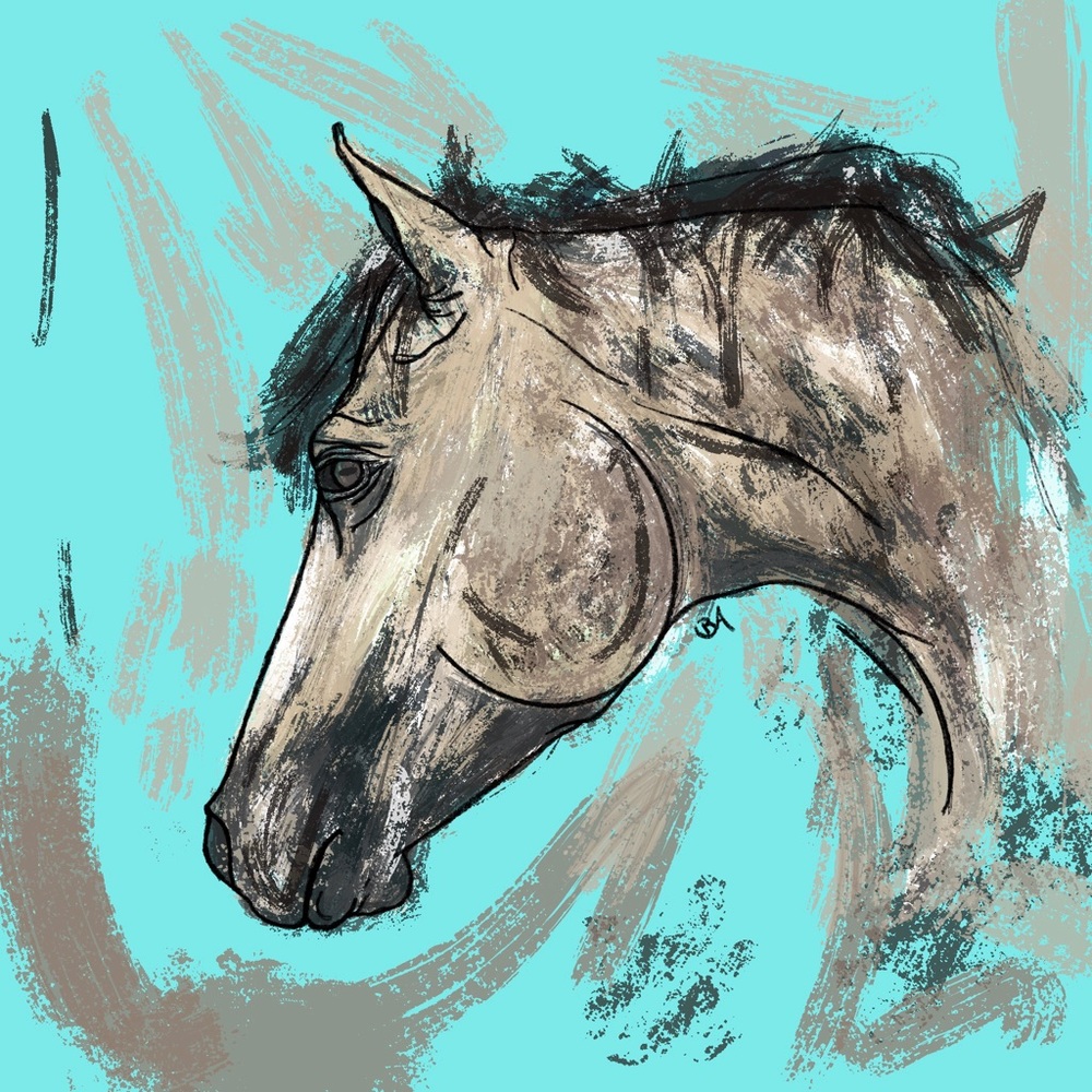 Meet your Posher, Brooke